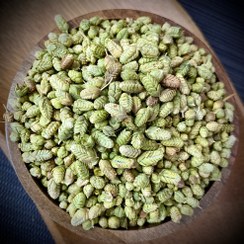 تصویر اورگانو 