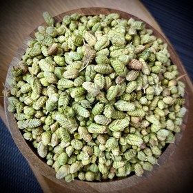 تصویر اورگانو 