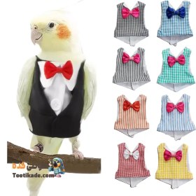 تصویر لباس دامادی عروس هلندی مدل داماد 