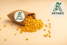 تصویر لپه خام 