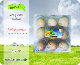 تصویر تخم مرغ محلی 