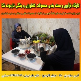 تصویر پودر برگ کاهو خشک شده با دستگاه 500 گرمی 