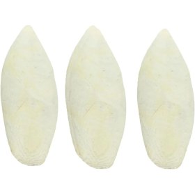 تصویر کف دریا کد M 50 وزن ۵۰ گرم 