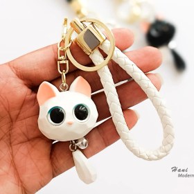 تصویر جاکلیدی گربه 