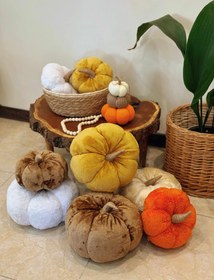 تصویر کدو مخملی تزئینی پاییزی - شیری / بزرگ Medium Polish pumpkin