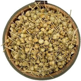 تصویر اسفند نخودی 