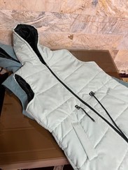 تصویر پافر - آبی کبریتی روشن 