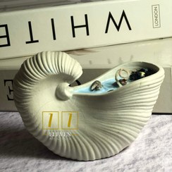 تصویر شات صدف حلزونی 