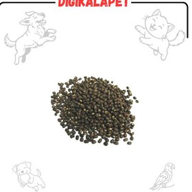 تصویر قره ماش - ده کیو 