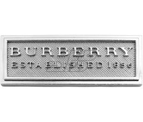 تصویر مارک کیف BURBERRY رنگ نیکل 