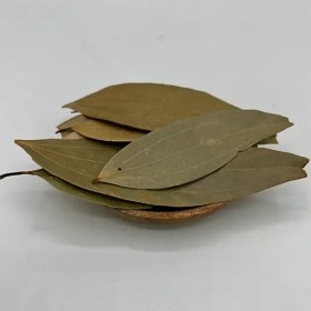 تصویر برگ بو 