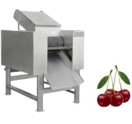 تصویر دستگاه هسته گیر آلبالو و گیلاس Cherry pitting machine