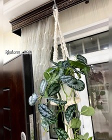 تصویر اویز گلدان مکرومه macrame