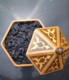 تصویر مویز شاهانی(شانی) 