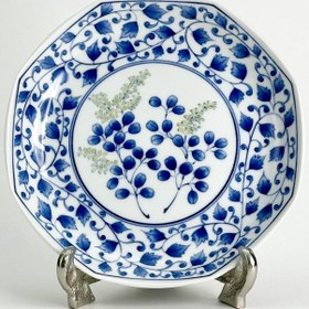 تصویر دیس آریتا 