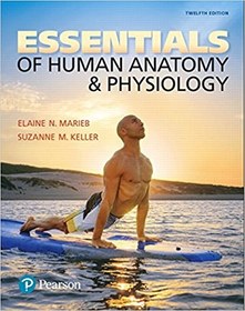 تصویر دانلود کتاب Essentials of Human Anatomy & Physiology 12th Edition 