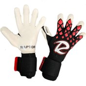 تصویر raptor dragon 