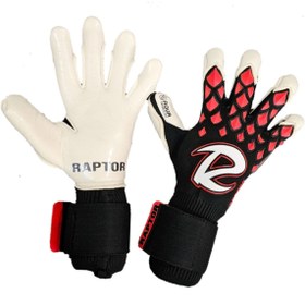 تصویر raptor dragon 