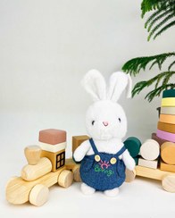 تصویر پولیشی خرگوش لباس دار 