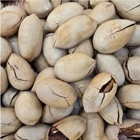 تصویر گردو پکان وانیلی 