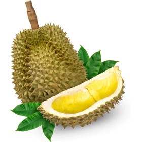 تصویر آواکادو پاکستانی 