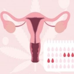 تصویر فیزیولوژِی قاعدگی 30 اسلاید 