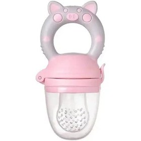 تصویر پک پستانک غذاخوری و آبمیوه خوری چيکو Chicco baby fruit feeder pacifer code:001145