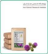 تصویر گیاه خار مریم خشک فله 