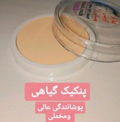 تصویر پنکیک گیاهی فول کاور 