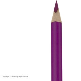 تصویر مداد رنگی 24رنگ پادیلوت 