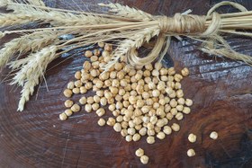 تصویر نخودچی شور 500 گرم 