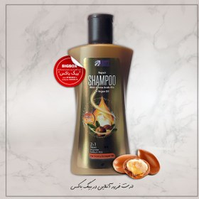 تصویر شامپو ترمیم کننده آرگان بیز وزن 300 گرم BIZ Argan Oil Shampoo