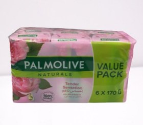 تصویر صابون پالمولیو عربی طبیعی 6 تایی با شیر و عصاره گل رُز 170 گرمی Palmolive naturals soap pack of 6 Palmolive naturals soap pack of 6