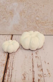 تصویر قالب سیلیکونی کدو۲عددی 