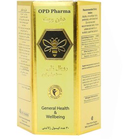 تصویر کپسول رویال ژلی ۱۰۰۰ میلی گرم دفن ویت او پی دی فارما ۳۰ عددی OPD Pharma Defenvit Royal Jelly 30Caps