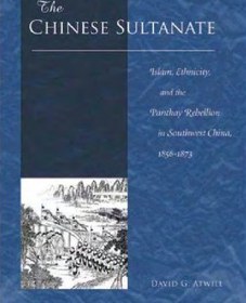 تصویر دانلود کتاب The Chinese Sultanate : Islam, Ethnicity, and the Panthay Rebellion in Southwest China, 1856-1873 2005 کتاب انگلیسی سلطنت چین: اسلام، قومیت، و شورش پانتای در جنوب غربی چین، 1856-1873 2005