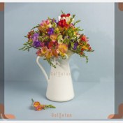 تصویر پیاز گل فریزیا رنگبندی الوان یک عدد 