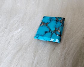 تصویر فیروزه شجر نیشابوری 