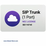 تصویر لایسنس 1 کاناله SIP Trunk / IP Trunk 
