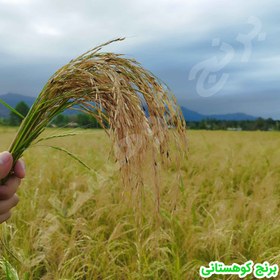 تصویر برنج لاشه هاشمی درجه یک 20 کیلویی 