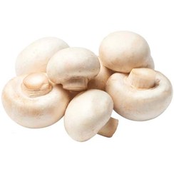 تصویر قارچ فله 