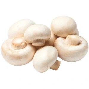 تصویر فروشگاه پالامی