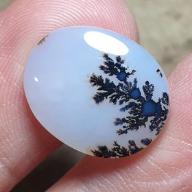 تصویر سنگ شجر قائن 