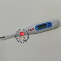 تصویر تب سنج دیجیتالی ساده DMT4132 بریسک Brisk 