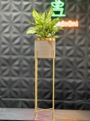 تصویر استند فلزی فورتیک 30-45-60 همراه با گلدان پلیمری قطر 20 لبه طلایی 
