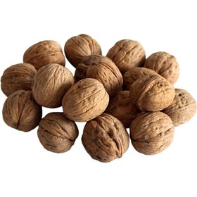 تصویر گردو با پوست 1 کیلوگرم Walnuts in Shell 1Kg