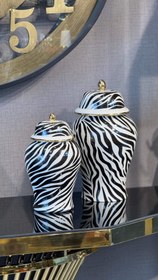 تصویر جار زبرا 