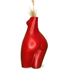 تصویر گلدان نیم تنه قرمز 