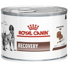 تصویر کنسرو ریکاوری سگ و گربه رویال کنین Royal Canin Recovery وزن 195 گرم 12 عددی Royal Canin Recovery