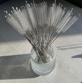 تصویر نی شور تک 